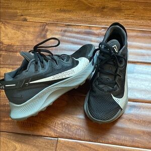 Nike Trail Pegasus 2 running shoes
